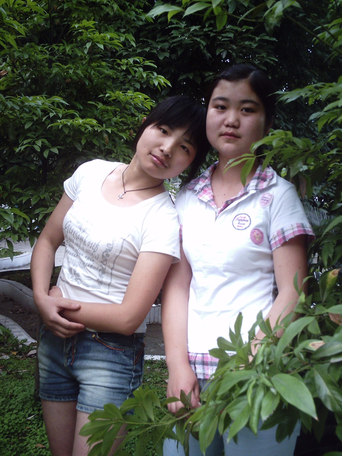 Zah(0074)